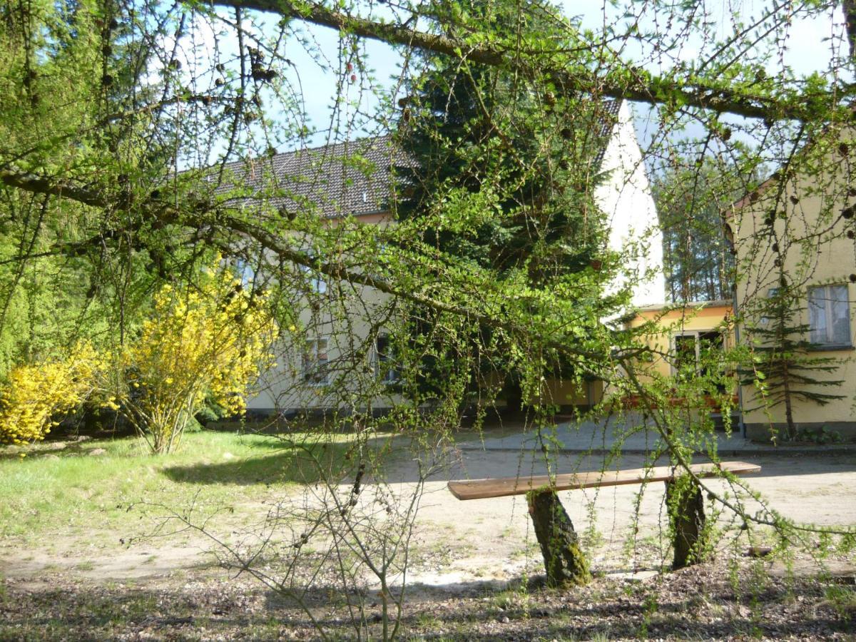 Grosse Wohnung Nossentiner Huette エクステリア 写真